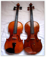 violin